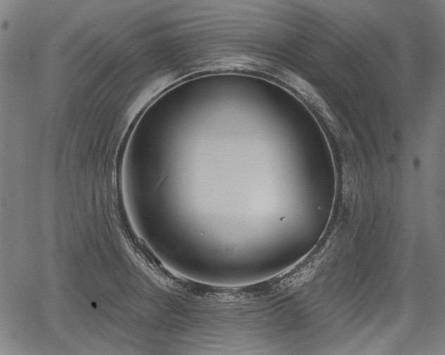 X0000067391234200604031024