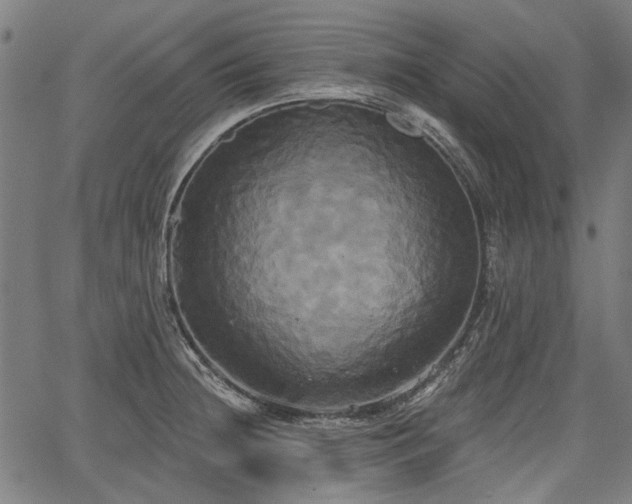 X0000067391236200604031024