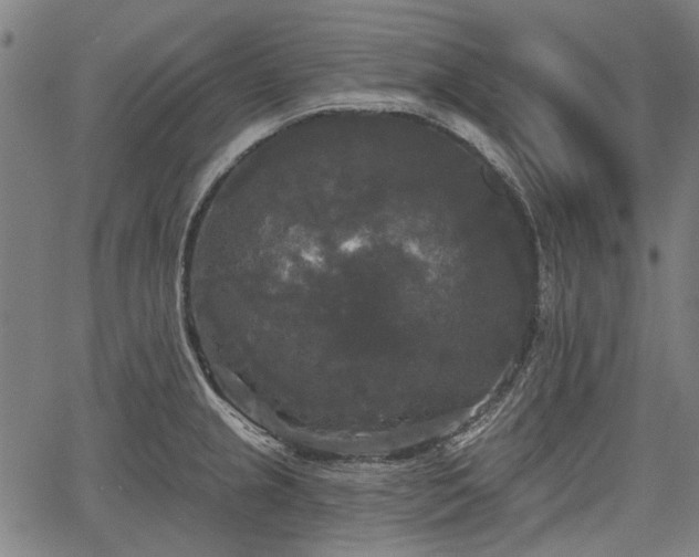 X0000067391237200604031024