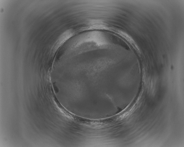 X0000067391241200604031024