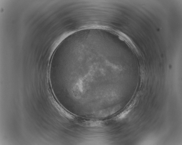 X0000067391244200604031024