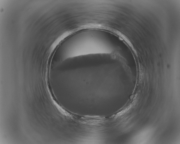 X0000067391245200604031024