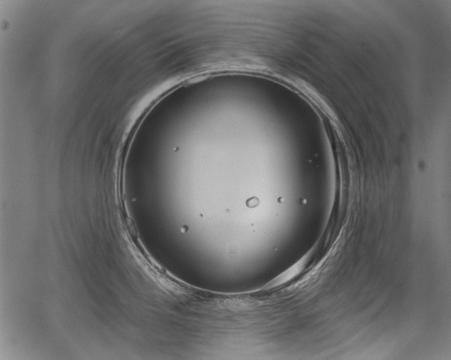 X0000067391246200604031024