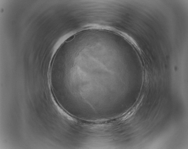 X0000067391247200604031025