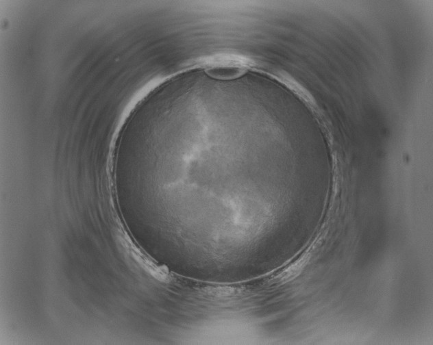 X0000067391248200604031025