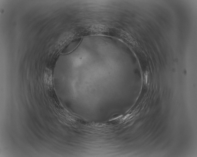 X0000067391251200604031024