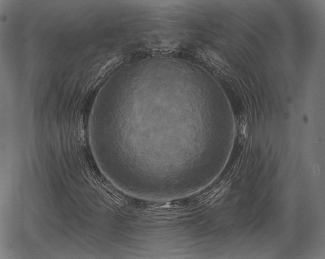 X0000067391252200604031024