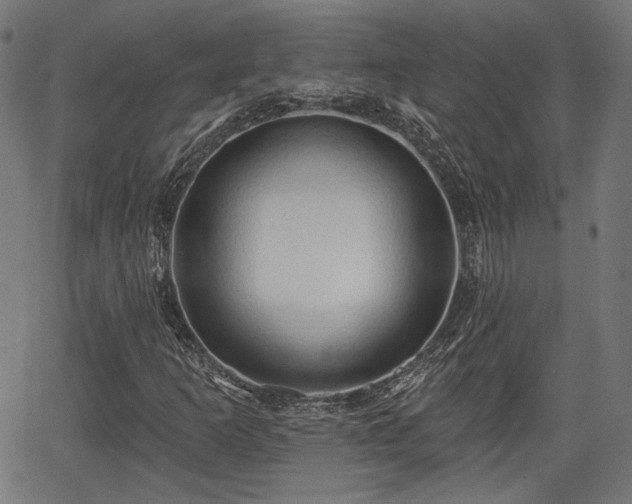 X0000067391253200604031024