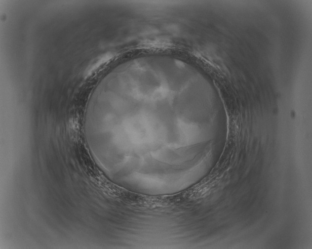 X0000067391254200604031024