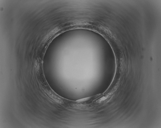 X0000067391257200604031024