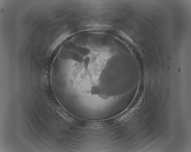 X0000067391259200604031024