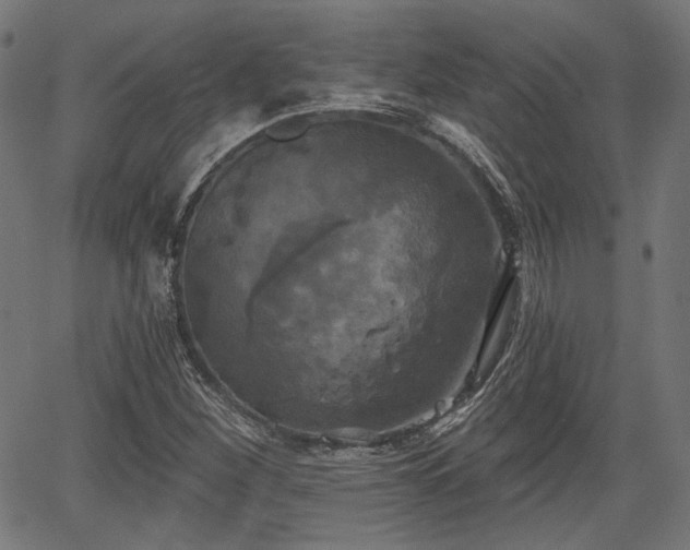 X0000067391260200604031024