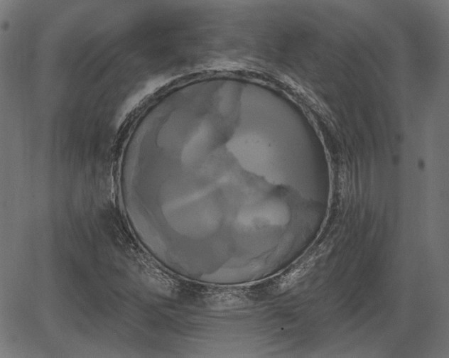 X0000067391262200604031024