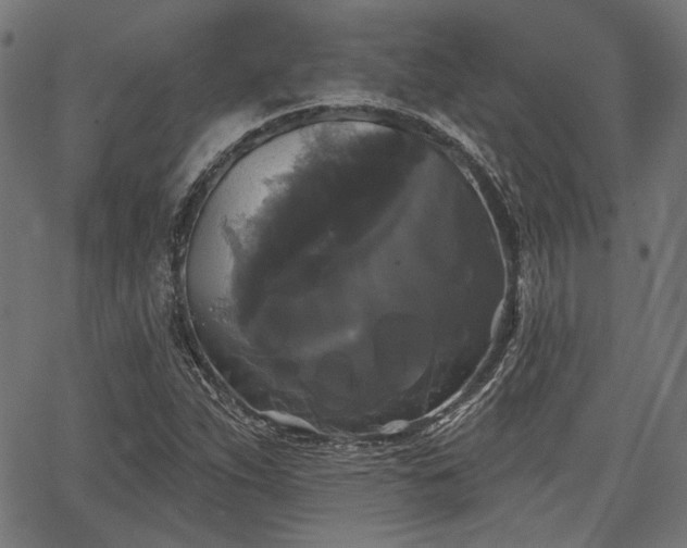 X0000067391263200604031024