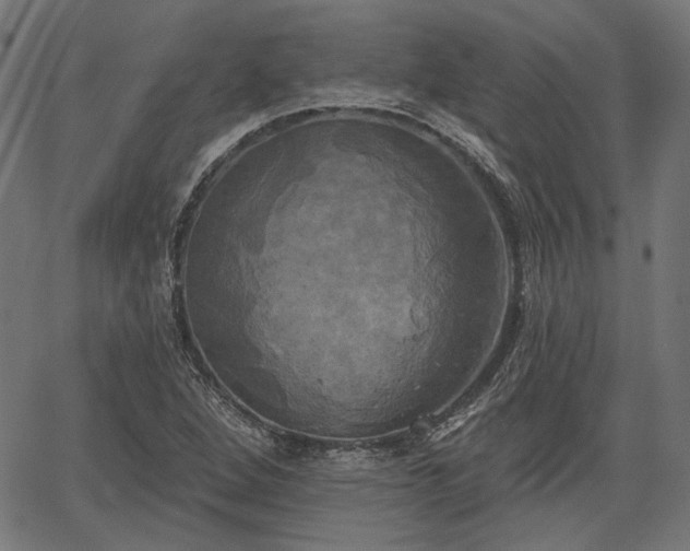 X0000067391264200604031023