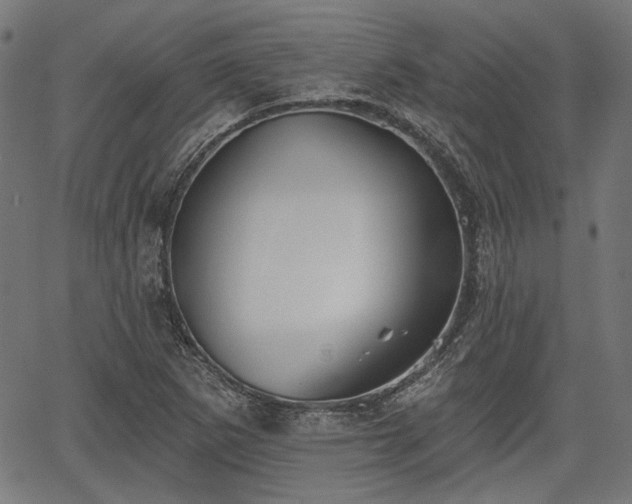 X0000067391265200604031023