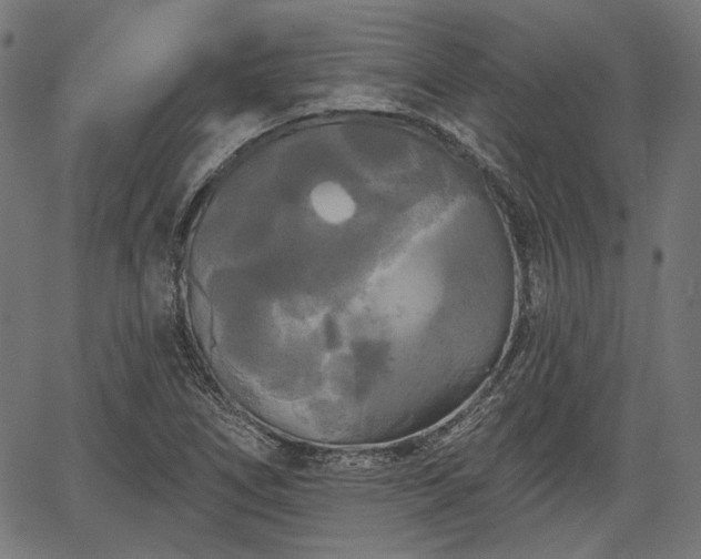 X0000067391266200604031023