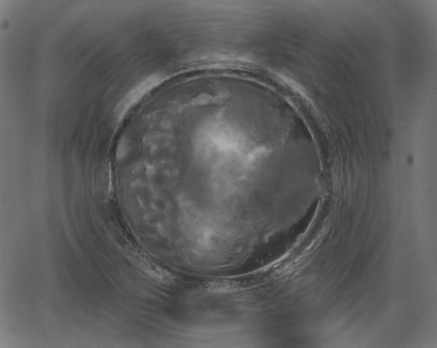 X0000067391267200604031023