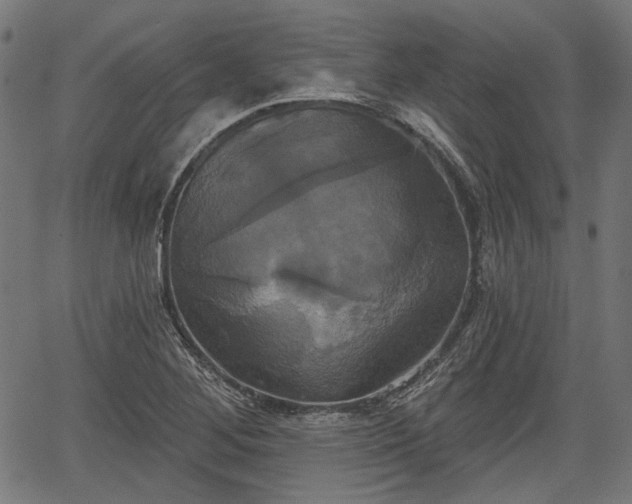 X0000067391268200604031023