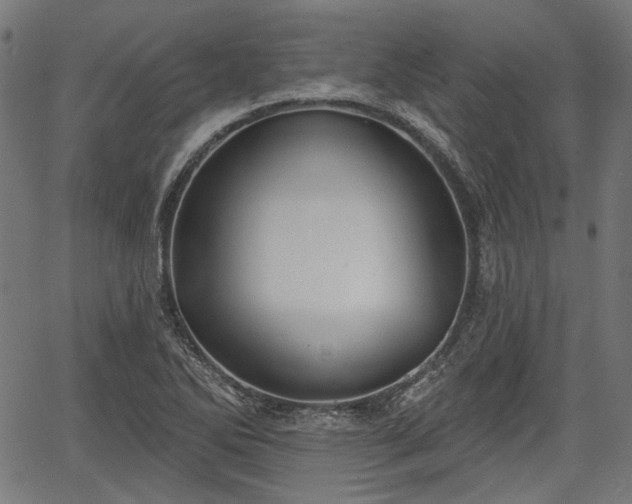 X0000067391270200604031023