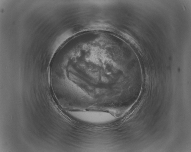 X0000067391275200604031023