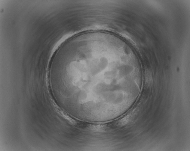 X0000067391278200604031023