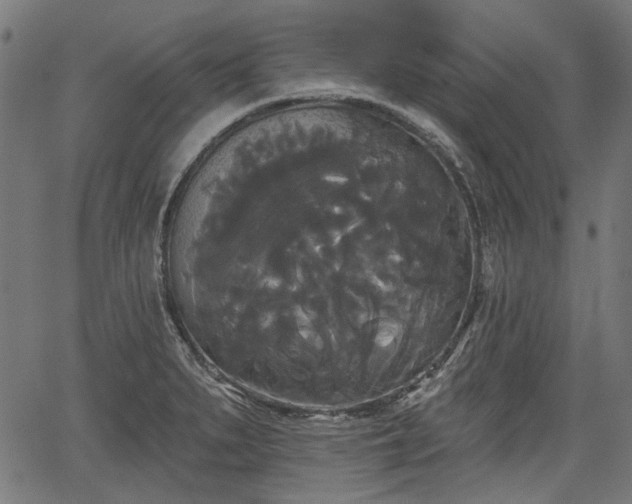 X0000067391279200604031023