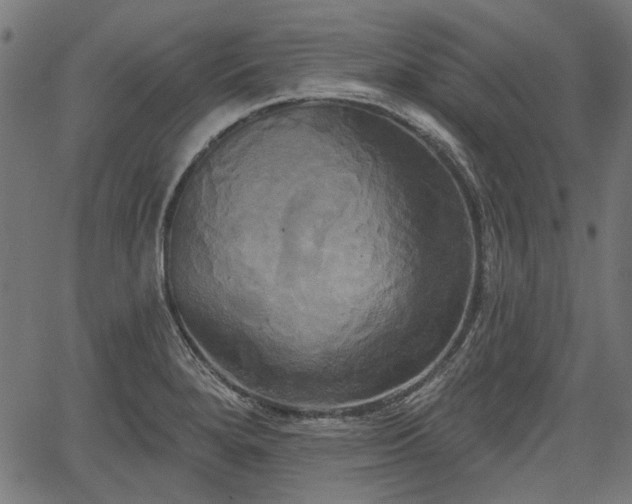 X0000067391280200604031023