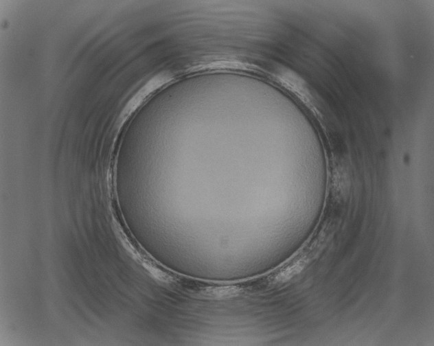 X0000067391282200604031023