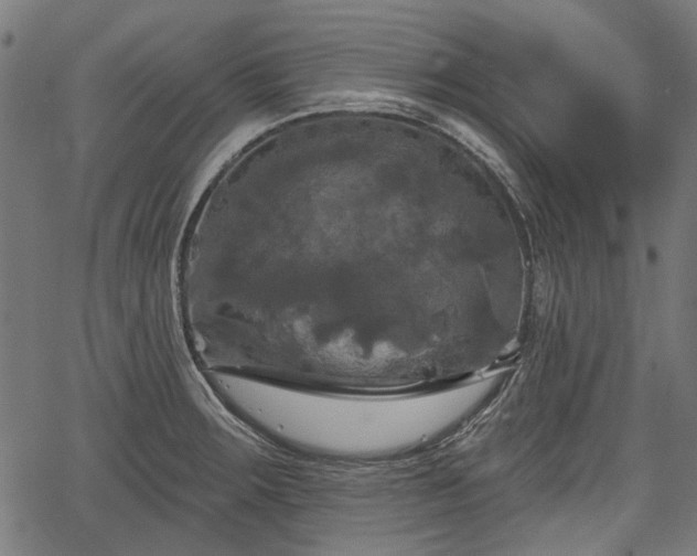 X0000067391283200604031023