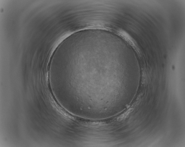 X0000067391284200604031023