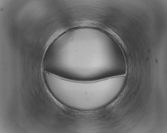 X0000067391285200604031023