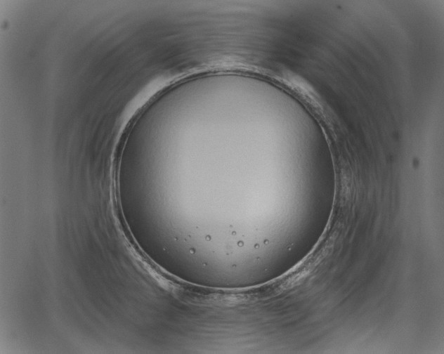 X0000067391286200604031023