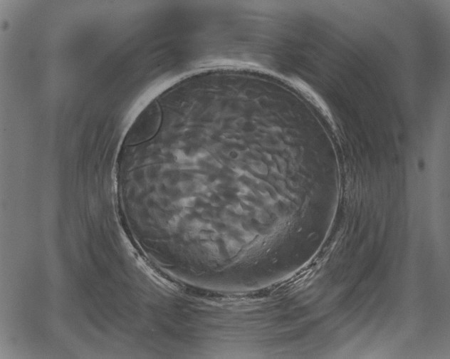 X0000067391287200604031023