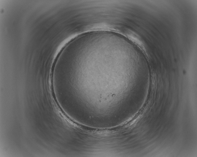 X0000067391288200604031023