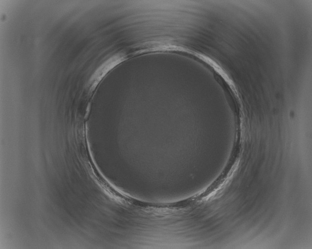 X0000067391289200604031023