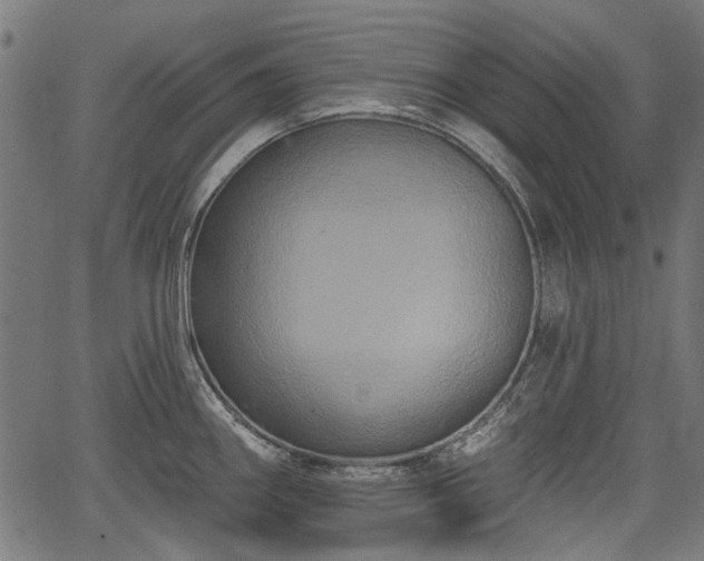 X0000067391290200604031023