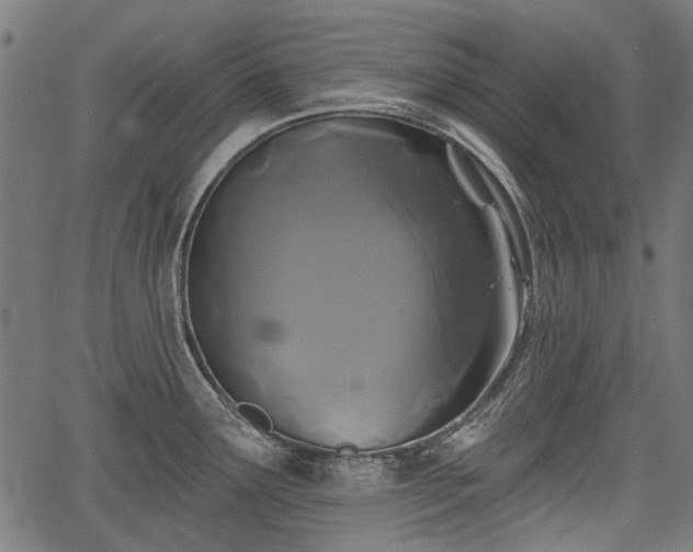 X0000067391291200604031023