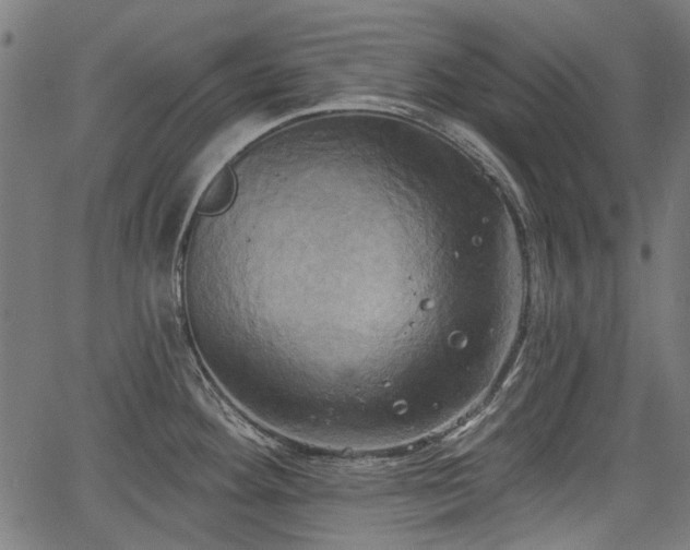 X0000067391292200604031023