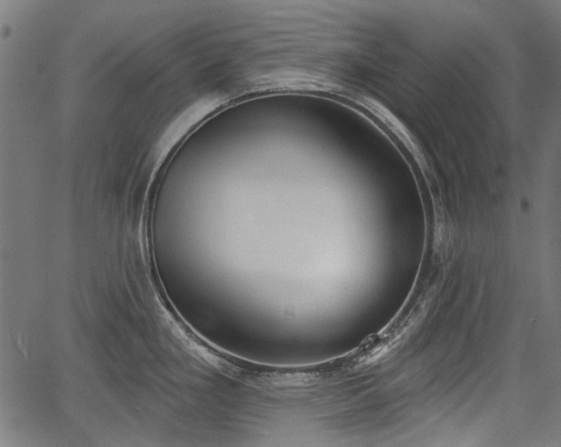 X0000067391293200604031023