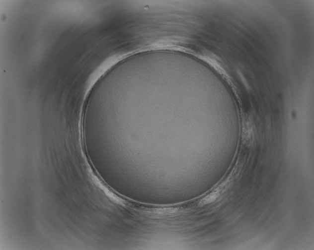 X0000067391294200604031023