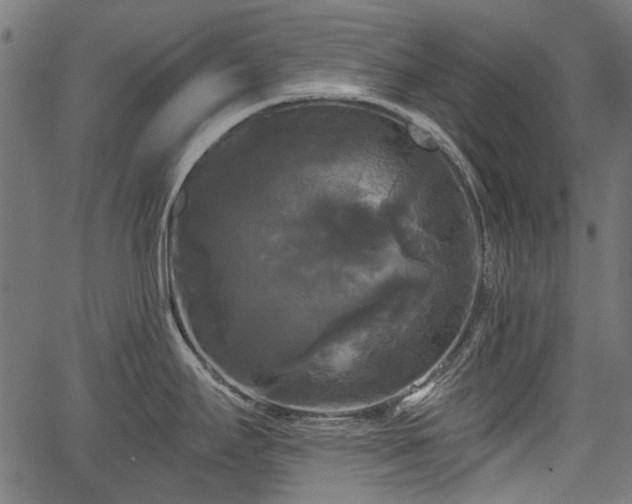 X0000067391295200604031023