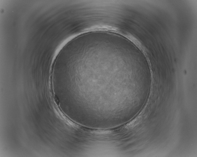 X0000067391296200604031023