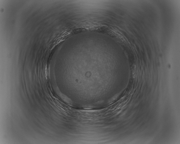 X0000067391298200604031022