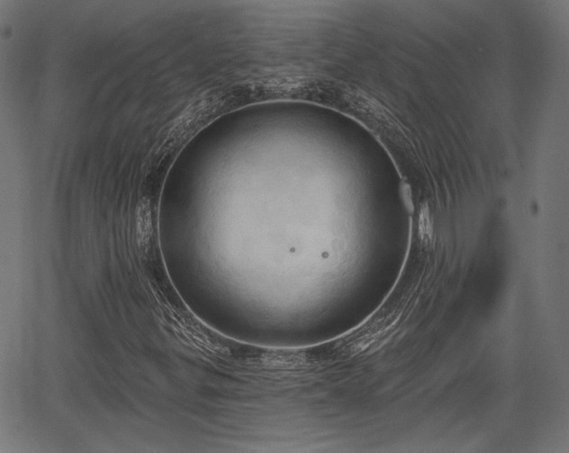 X0000067391299200604031022