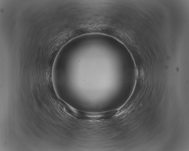 X0000067391300200604031022