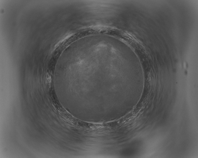 X0000067391302200604031022