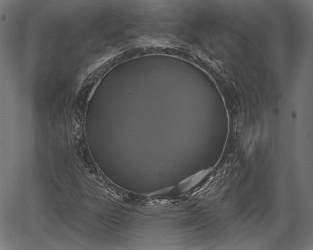 X0000067391303200604031022