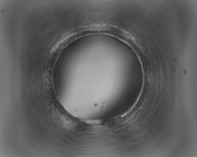 X0000067391304200604031022