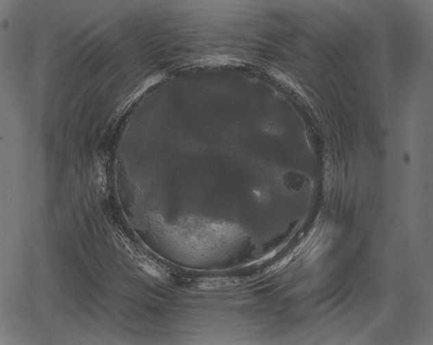 X0000067391305200604031022